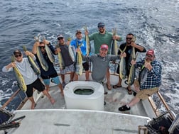 Mahi Mahi / Dorado Fishing in San Diego, California