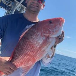 Black Seabass, Red Snapper, Triggerfish Fishing in St. Marys, Georgia