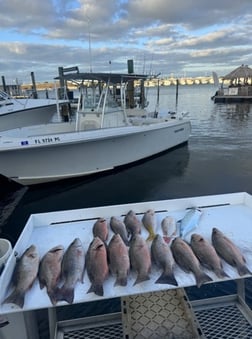 Fishing in Key West, Florida