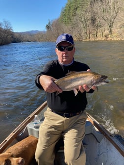 Fishing in Leicester, North Carolina