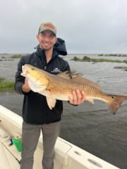 Black Drum, Redfish, Speckled Trout Fishing in Delacroix, Louisiana