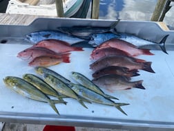 Fishing in Panama City Beach, Florida