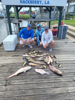 Black Drum, Redfish, Speckled Trout Fishing in Sulphur, Louisiana