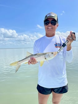 Snook Fishing in Islamorada, Florida