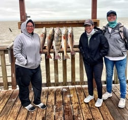 Speckled Trout Fishing in South Padre Island, Texas