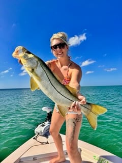 Fishing in Sarasota, Florida