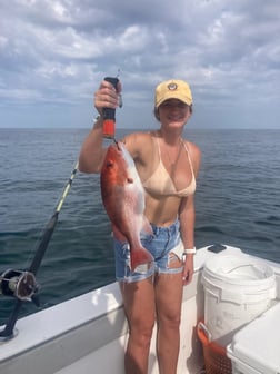 Red Snapper Fishing in Orange Beach, Alabama