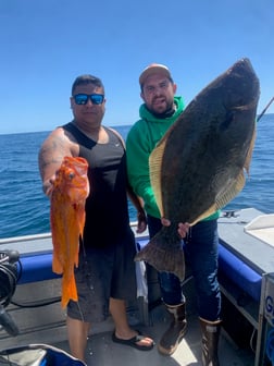 Rockfish Fishing in Oxnard, California