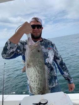 Red Snapper Fishing in Panama City Beach, Florida