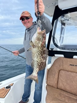 Black Drum Fishing in Little River, South Carolina