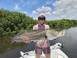 Snook Fishing in Clearwater, Florida