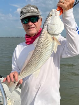 Speckled Trout / Spotted Seatrout Fishing in Galveston, Texas