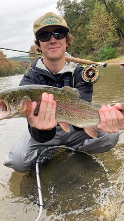 Rainbow Trout Fishing in New Braunfels, Texas