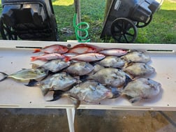 Fishing in Jacksonville, Florida