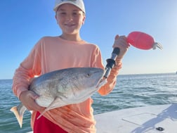 Redfish Fishing in Sarasota, Florida