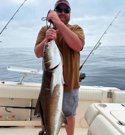 Cobia Fishing in Charleston, South Carolina