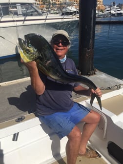 Black Seabass, Fluke fishing in Montauk, New York