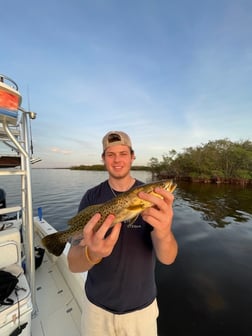 Fishing in Tampa, Florida