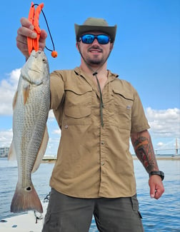 Fishing in Mount Pleasant, South Carolina