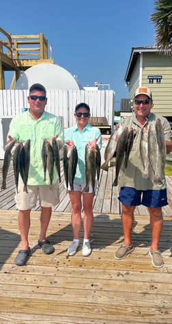 Speckled Trout / Spotted Seatrout fishing in Dauphin Island, Alabama