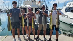 King Mackerel / Kingfish, Mahi Mahi / Dorado Fishing in Hillsboro Beach, Florida