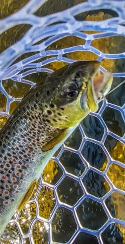 Fishing in Broken Bow, Oklahoma