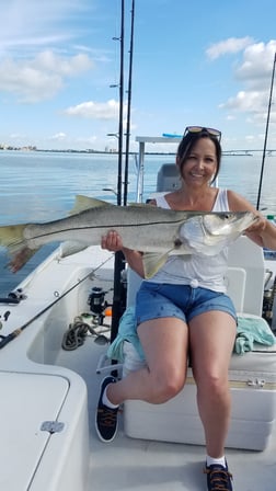 Redfish Fishing in Clearwater, Florida