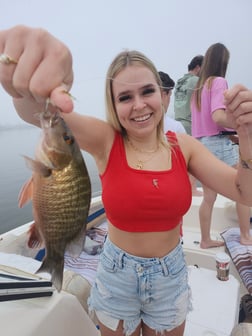 Fishing in Fort Myers Beach, Florida