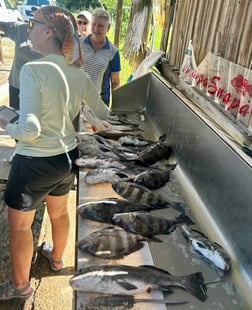 Fishing in Biloxi, Mississippi