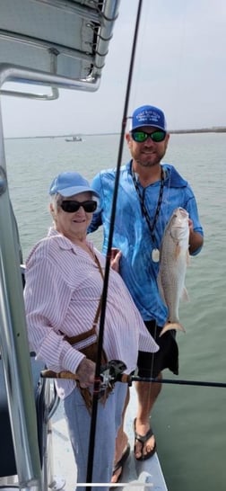 Black Drum Fishing in Aransas Pass, Texas