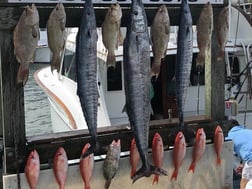 Gag Grouper, Snowy Grouper, Vermillion Snapper, Wahoo Fishing in Destin, Florida