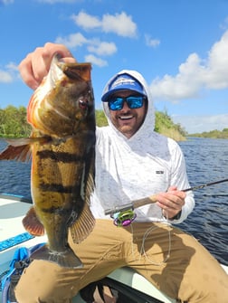 Fishing in Fort Lauderdale, Florida