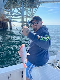 Speckled Trout / Spotted Seatrout Fishing in Gulf Shores, Alabama