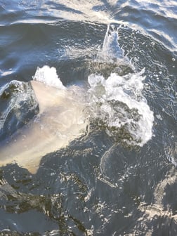 Fishing in Santa Rosa Beach, Florida