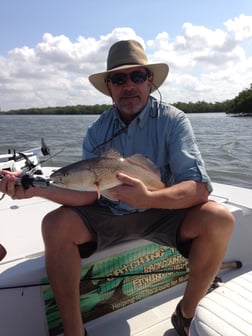 Speckled Trout / Spotted Seatrout fishing in Fort Myers Beach, Florida