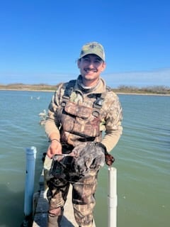 Northern Pintail Fishing in Port Aransas, Texas