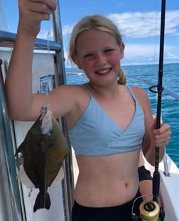 Triggerfish fishing in Jaco, Provincia de Puntarenas