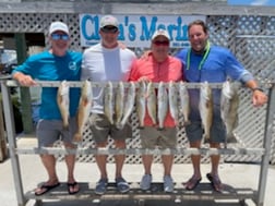 Speckled Trout / Spotted Seatrout fishing in Corpus Christi, Texas