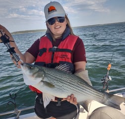 Hybrid Striped Bass, Striped Bass fishing in Runaway Bay, Texas