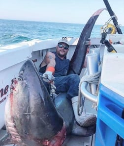 Thresher Shark Fishing in Freeport, New York, USA