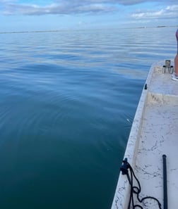 Speckled Trout / Spotted Seatrout fishing in Galveston, Texas