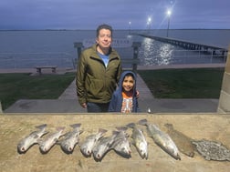 Black Drum, Flounder, Redfish, Speckled Trout Fishing in Palacios, Texas