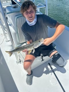 Snook Fishing in Tampa, Florida