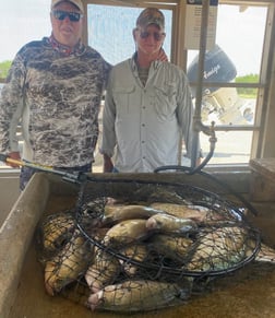 Crappie fishing in Zapata, Texas