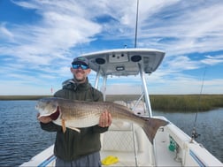 Redfish, Sheepshead, Speckled Trout / Spotted Seatrout Fishing in Yscloskey, Louisiana