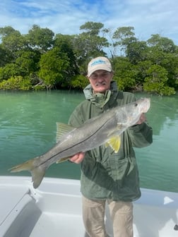 Permit Fishing in Key West, Florida