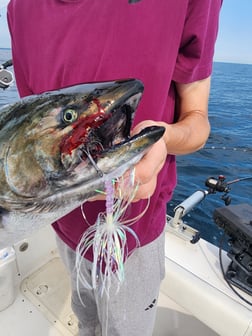 Fishing in Milwaukee, Wisconsin