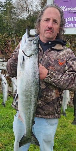 Brown Trout, Chinook Salmon Fishing in Verona Beach, New York