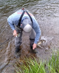 Fishing in Littleton, Colorado