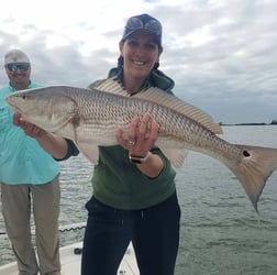 Redfish Fishing in Clearwater, Florida